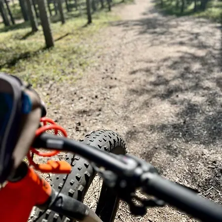 Kivilinna Apartmens - Liinavaatteet, Pyyhkeet Ja Loppusiivous Sisaeltyvaet Aina Hintaan